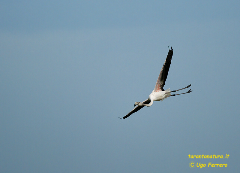 Un salina del salento